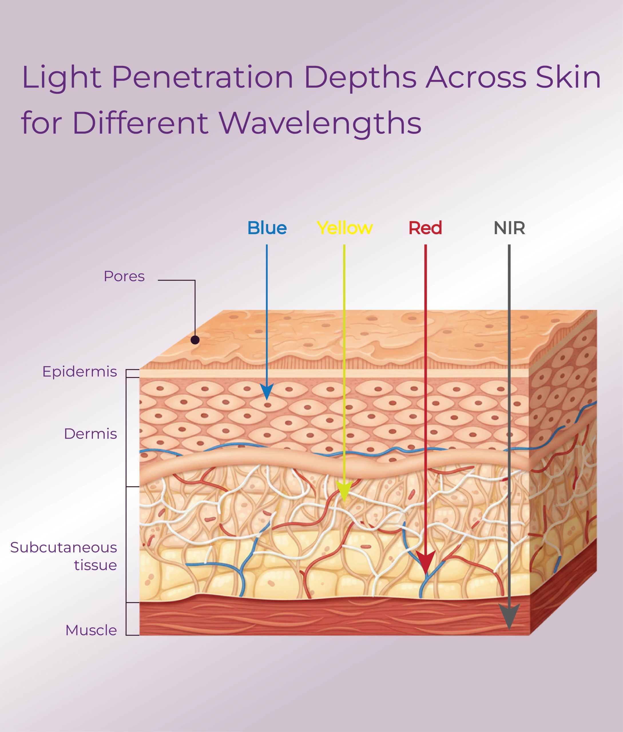 LED Therapy device